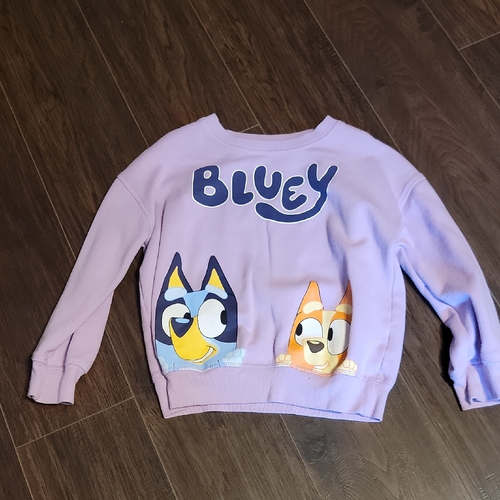 5 For $20 Bluey Lavender Sweatshirt